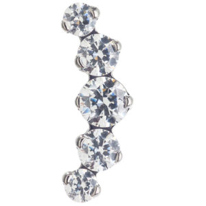 Accessoire Industrial Strength Prium 5 Swarovski